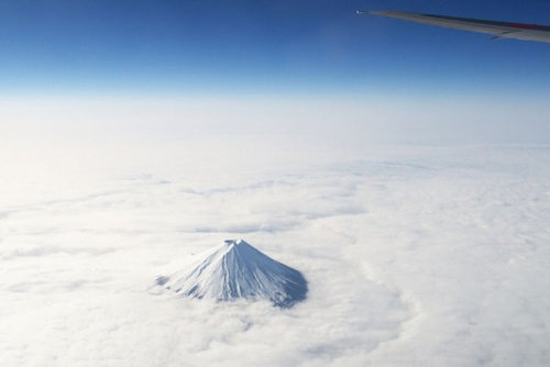 飛行機は窓側の席21