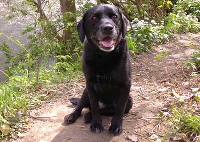 ���Ů�줿�������ġĸ��ˡּ�ä��褤�פ��廊�Ƶ߽�01