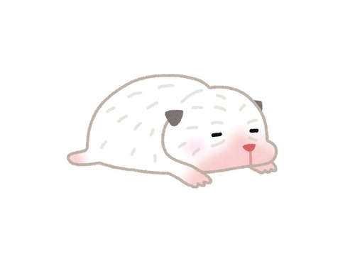 パパになったばかりの犬が誇らしげな表情に
