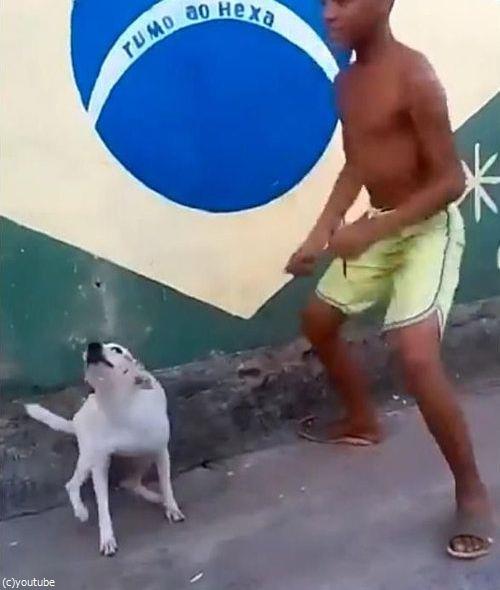 �֥饸��ϸ����äƥ����˥Х�02