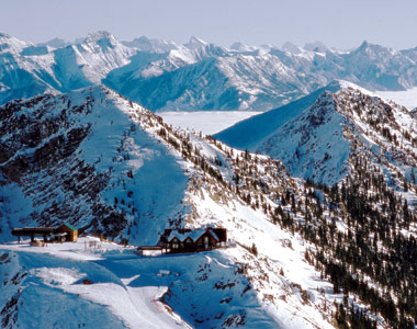 魅惑な世界のレストラン04