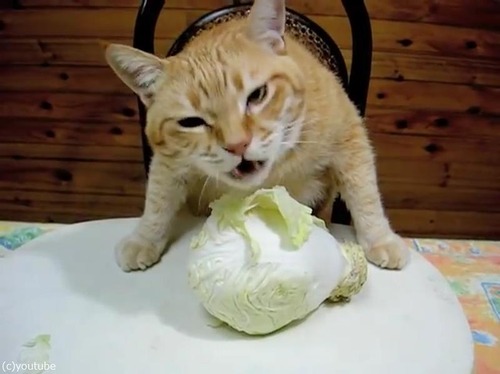 ����٥Ĥ�ष��ष�㿩�٤�ǭ02