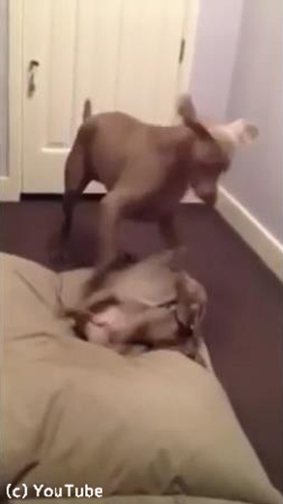 ���������Υ٥åɤ�å���Ҹ�02