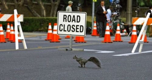 ƻϩ���Ϥ�ưʪ10