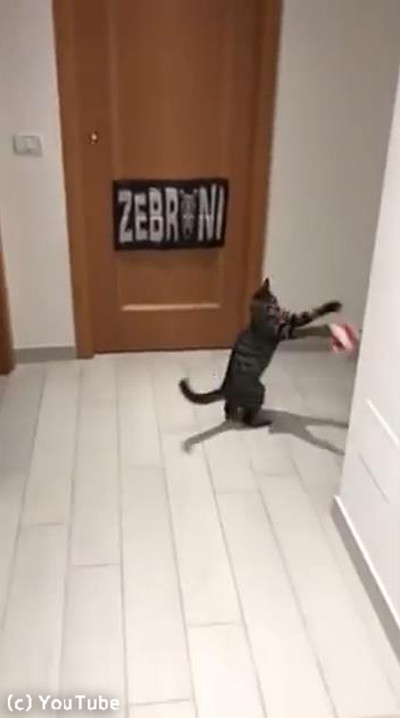 ゴールキーパー猫04