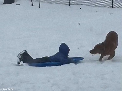 ���������Ƥ���르����ǥ��ȥ�С�01