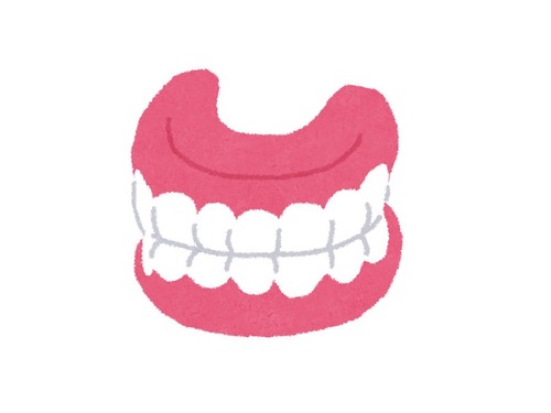 愛犬が入れ歯を拝借する