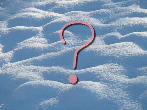 バッファローのユーモア00