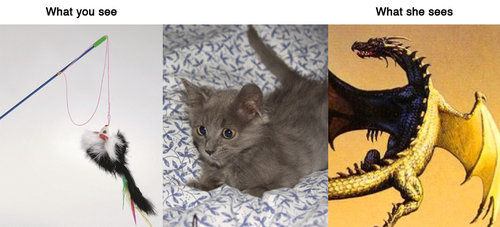 動物に見えるもの10