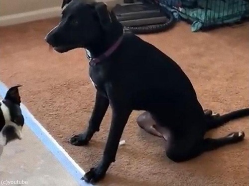 ­�����餫����02