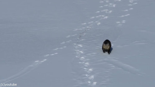 ��򤹤٤륫�復��01