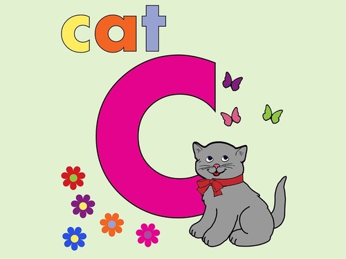 大文字と小文字の猫