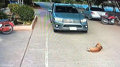 �ޥ��ڡ��������뤪�뿲��󥳤����襤��02