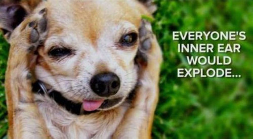 地球から酸素がなくなったら09