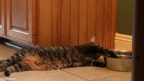 ���ݤ��������ǭ04