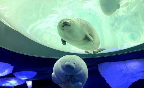 ���ֳ�ͷ�ۡפΥ����饷���å����02