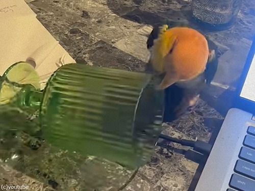 \³\\ߏ·яď\\\³̏ﻵ¹