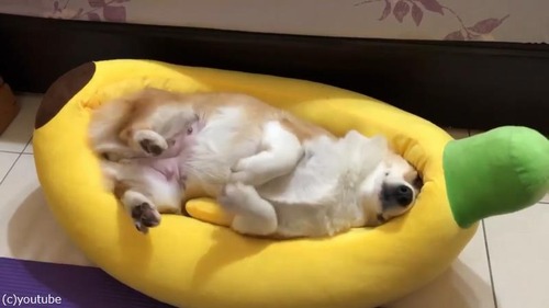 ���������ᥤ�ɤ��ʡ����������δ����ʥ٥å�02