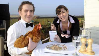 ニワトリホテル01