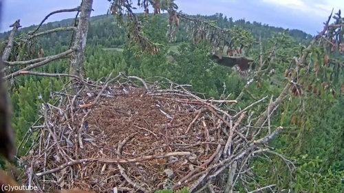 �亮�����Ϥ˼��Ԥ����02