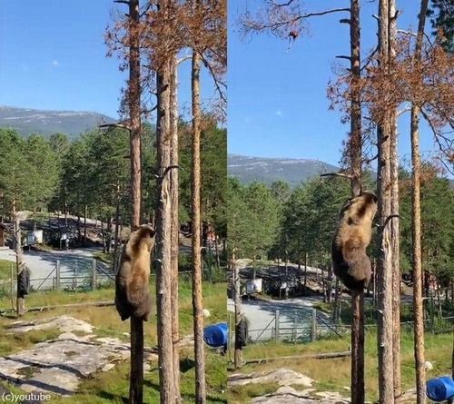 ���ޤ����Ф�ǽ��01