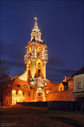 �����饤�ʤξ�16