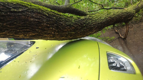 幸運な車の持ち主04