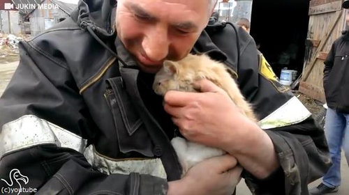 トラックの部品に挟まれたまま50マイルの旅をした猫01