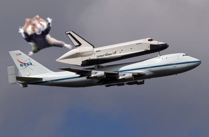 カンフー・ハムスター02