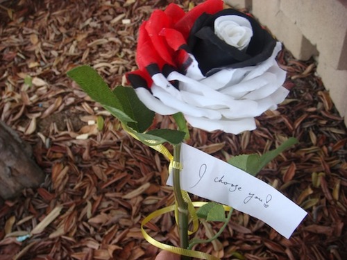 ポケモンマニア01