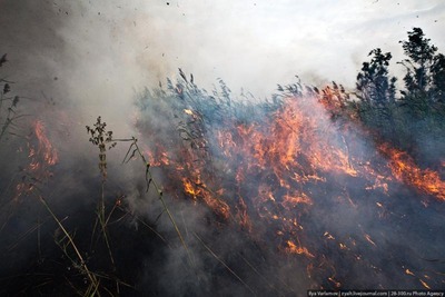 �⥹����01