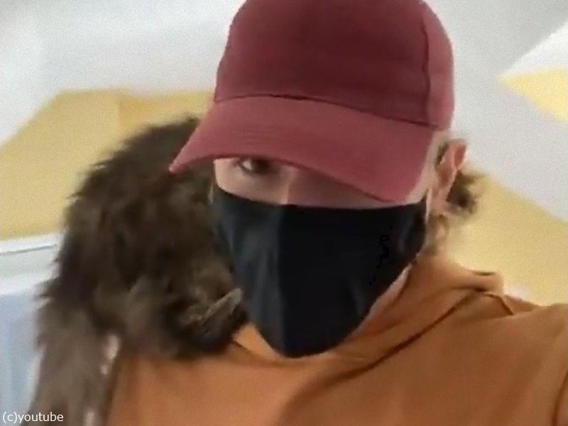 たった数秒で この猫の里親になった理由は 見ての通りだよ 動画 らばq たった数秒で この猫の里親になった理由は 見ての通りだよ 動画 らばq