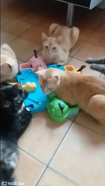 �ơ��֥륲�����ͷ��ǭ����02