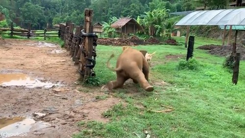 ��󥳤��ɤ������褦�Ȥ��Ƴ���֤���󥾥�03