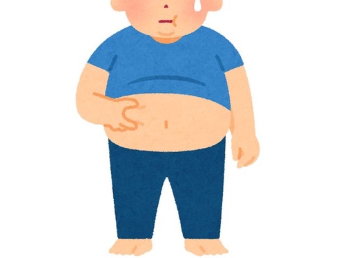 「ぽっこり出たビール腹が最高に活躍するのは…」→このコスプレをしているとき