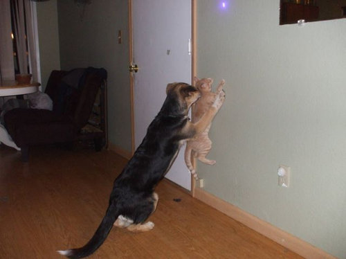 極めつけの瞬間17