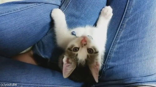 アラスカへの旅16