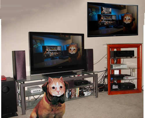 犬に猫マスク05