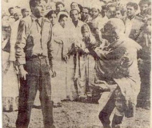 ���ľ���μ̿� 015