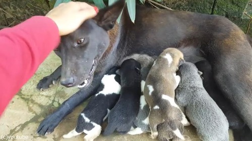 ˸ƤФƿϩ˹ԤäƤߤ06