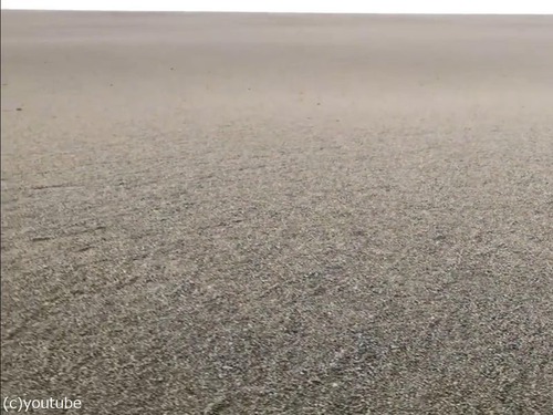 海面埋め尽くす軽石03