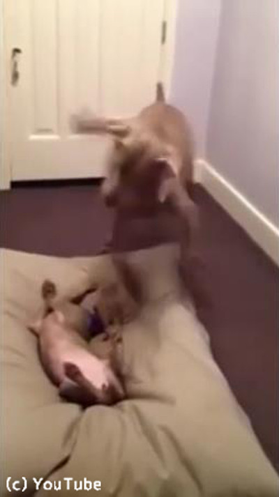 ���������Υ٥åɤ�å���Ҹ�03