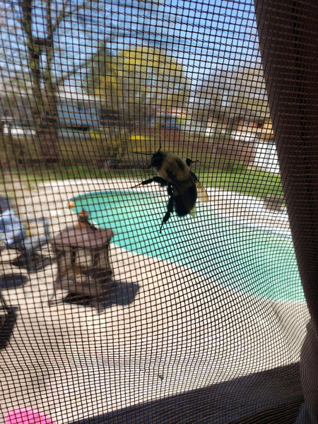 ֥ߥĥХˤ⤪ǥ֤󤬤03