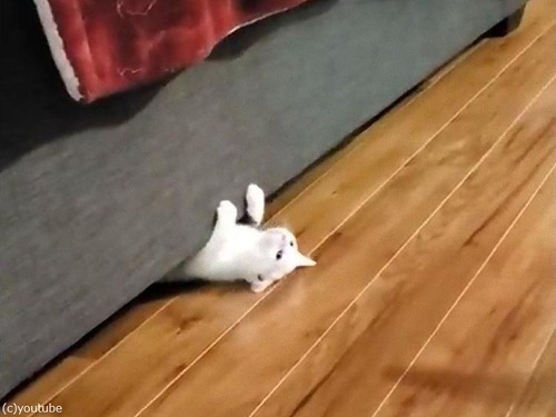 ǭ���դ��˥��饤�ǥ���01