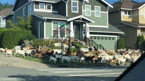 �����Ϥǥ䥮����æ�������01