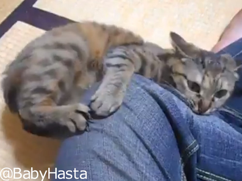 ダメージジーンズ製造工場00