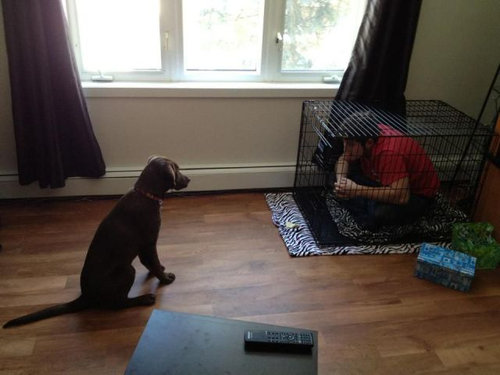 14�ͤɤ������餤���Ρ�