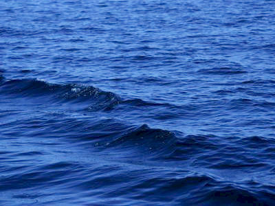 Ǧ�Ӵ�붲��00