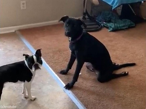 ­�����餫����01