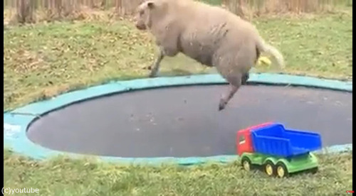 �ȥ��ݥ���ͷ����04